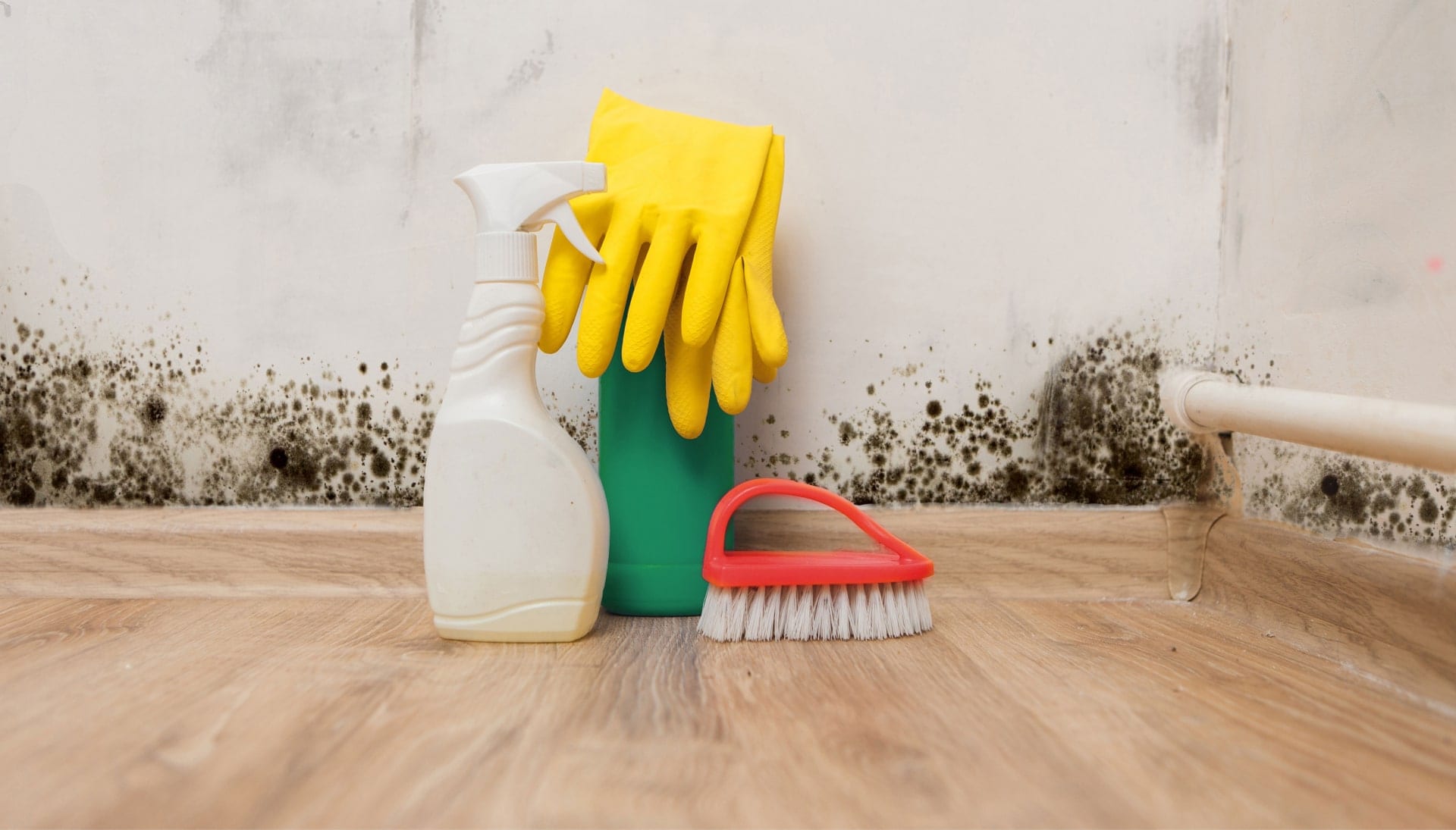 We offer fast and reliable services to help remove and prevent mold growth in your home or business in Peoria, Arizona