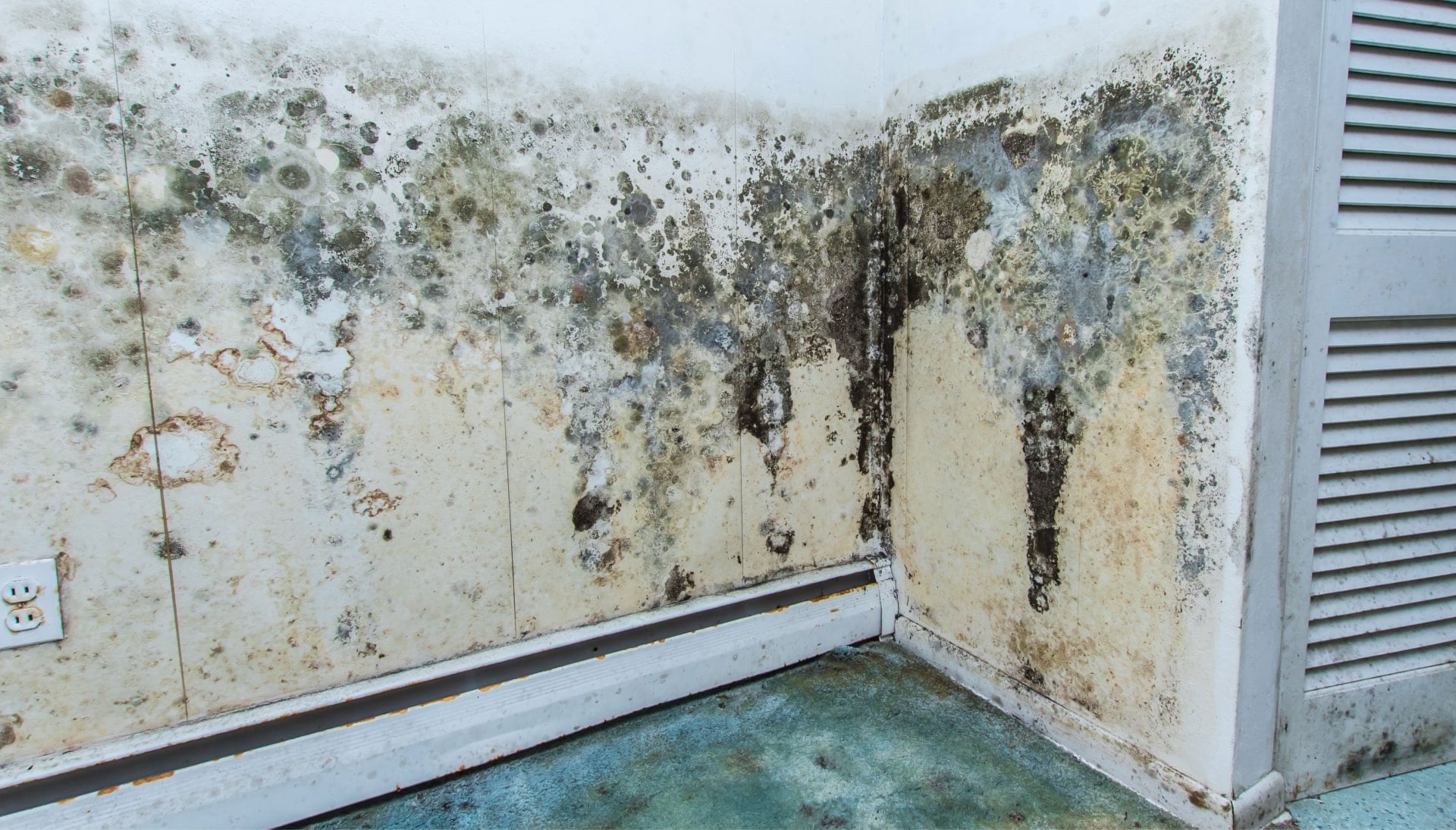 Professional mold removal, odor control, and water damage restoration service in Peoria, Arizona.