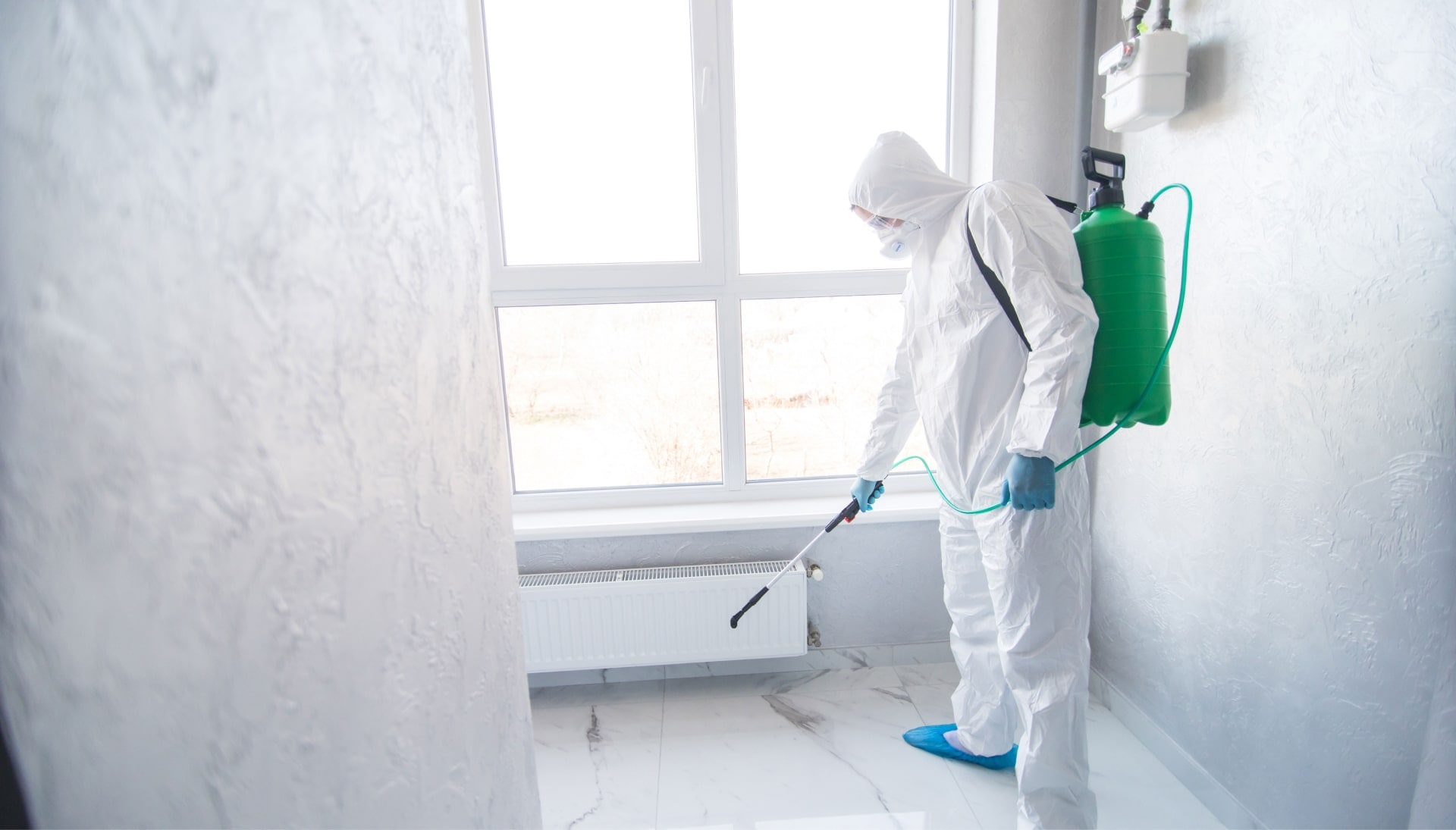We provide the highest-quality mold inspection, testing, and removal services in the Peoria, Arizona area.